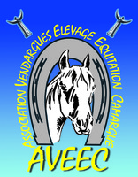 ASSOCIATION VENDARGUES ELEVAGE EQUITATION CAMARGUE