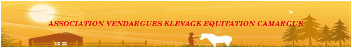 ASSOCIATION VENDARGUES ELEVAGE EQUITATION CAMARGUE
